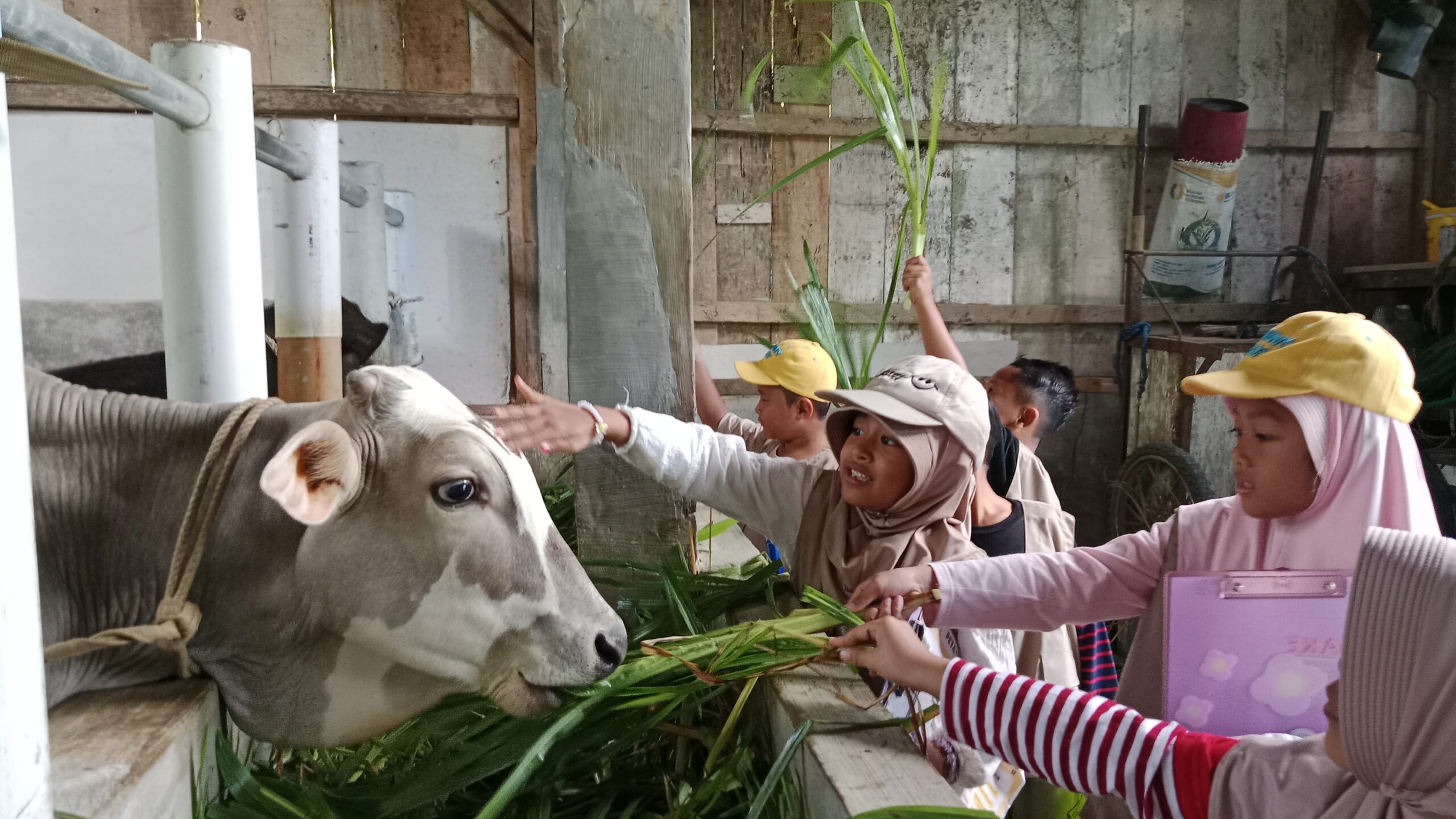 Belajar dari Alam, Bersyukur pada Pencipta: Pendidikan Fitrah yang Menghidupkan Hati